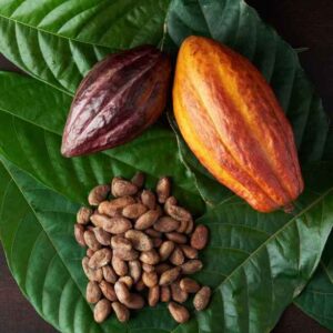 beneficios-cacau